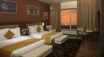 Superior Queen Family